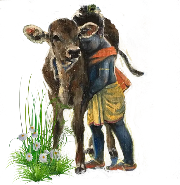 gopal with cow - decoration image
