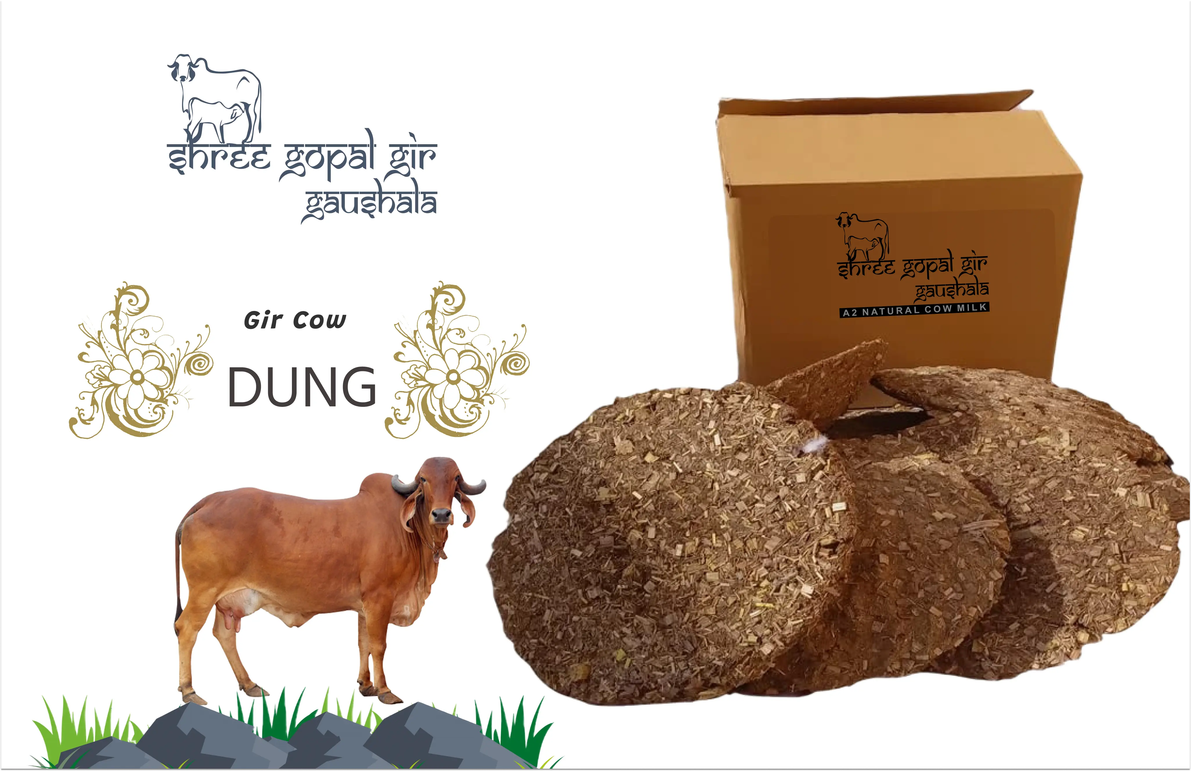 Gir Cow Dung - Shree gopal Gir Gaushala